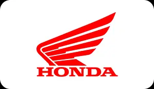 mediacompany (15)